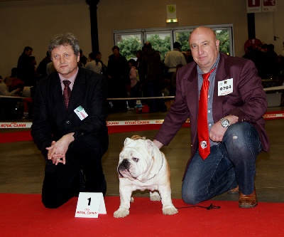 du temple des Bulldogs - ASTON et DINAH LOU REMPORTENT CACIB A PDS